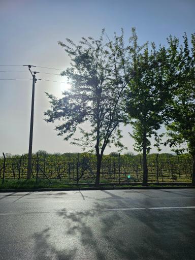 عکس پارک یئددی گوز (هفت چشمه)