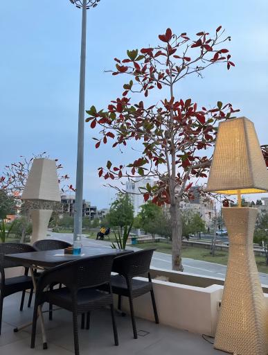 عکس کافه رستوران کاکتوس