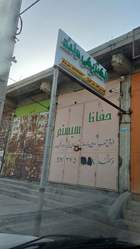 عکس الکتریکی دلند