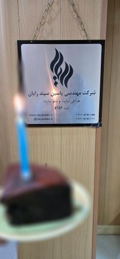 شرکت طراحی سایت و سئو سایت رایاس (یاسین سپند رایان)