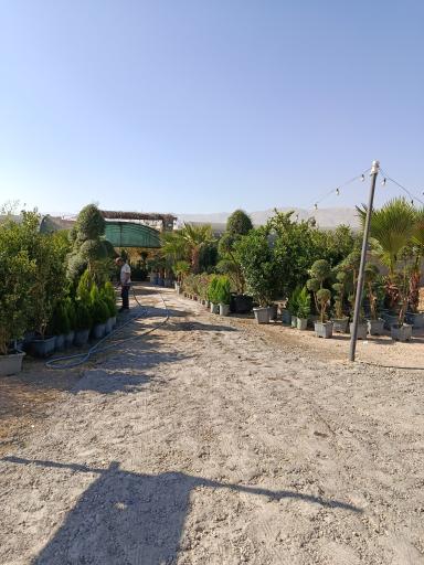 عکس نهالستان پارس