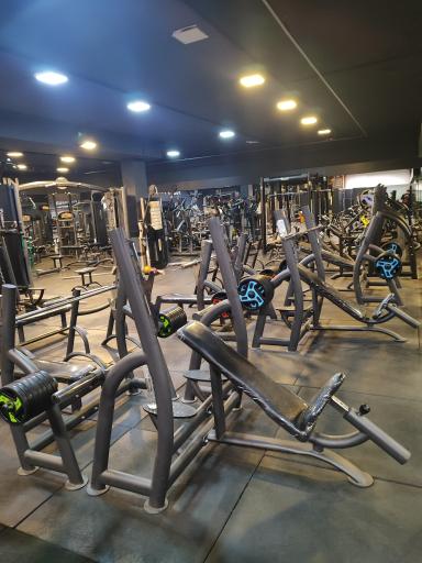 عکس باشگاه بدنسازی بعثت