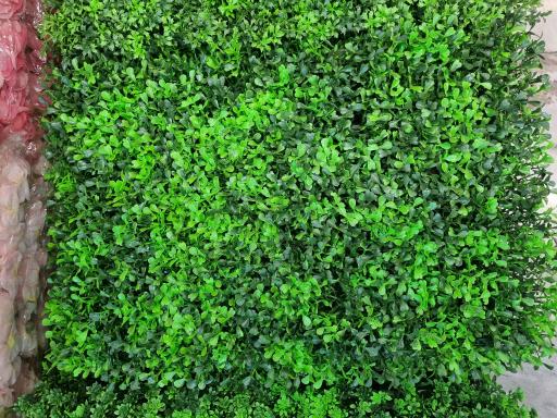 عکس گل ستاره