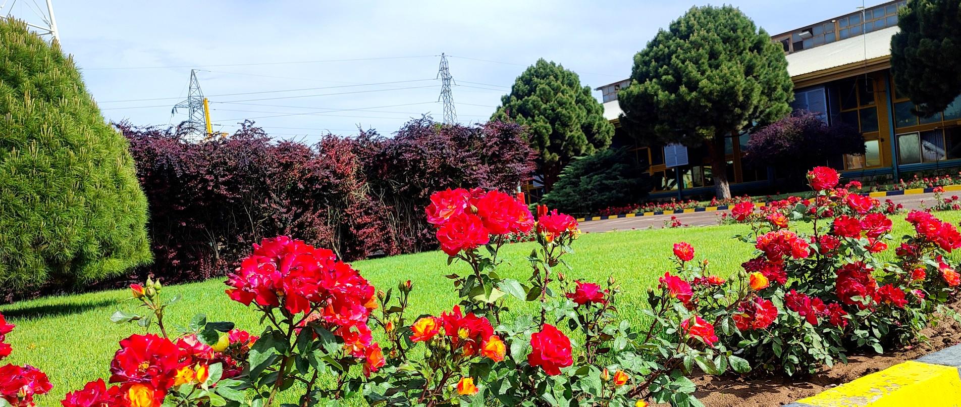 عکس شرکت شیشه رازی  کارخانه واحد 2