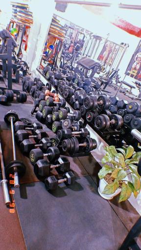 عکس باشگاه بدنسازی دنیای قدرت