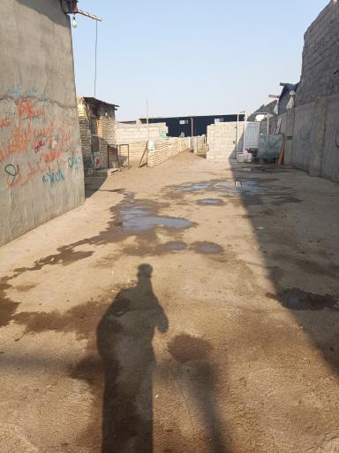 عکس دامداری کامگار و پسران