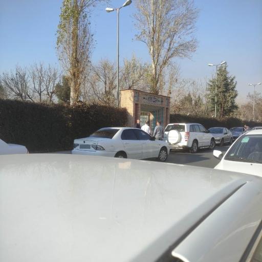 عکس باغ رستوران ریحانه