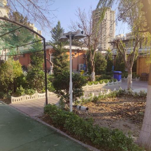 عکس باغ رستوران ریحانه