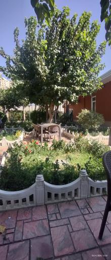 عکس باغ رستوران ریحانه