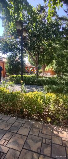 عکس باغ رستوران ریحانه