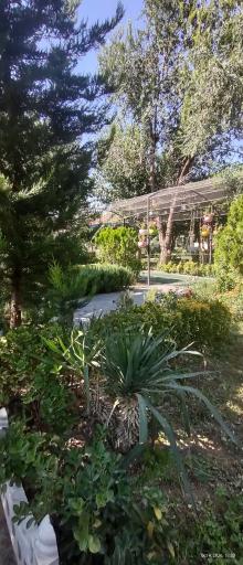 عکس باغ رستوران ریحانه