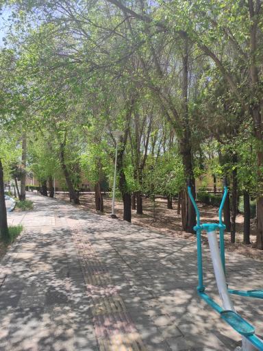 عکس فضای سبز