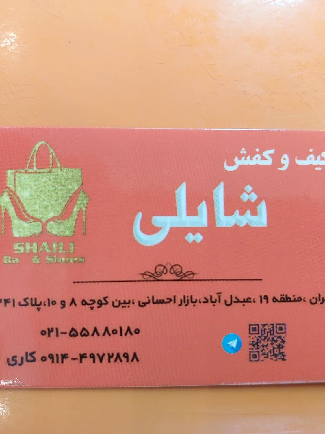 عکس کیف وکفش شایلی