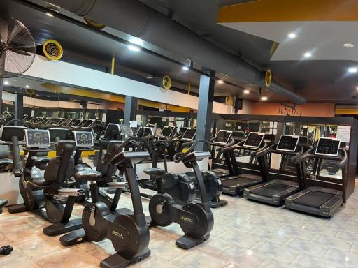 عکس باشگاه ورزشی بانوان وستا