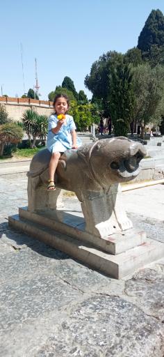 عکس شیر سنگی