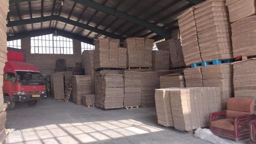 عکس کارتن سازی ایده نگار سهند