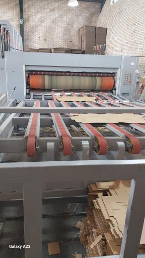 عکس کارتن سازی ایده نگار سهند