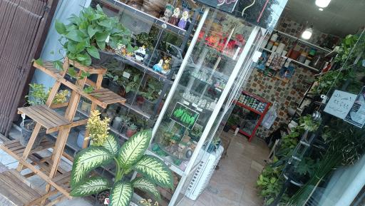 عکس گالری گل پردیس