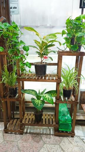 عکس گالری گل پردیس