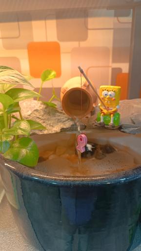 عکس گالری گل پردیس