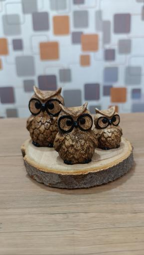 عکس گالری گل پردیس