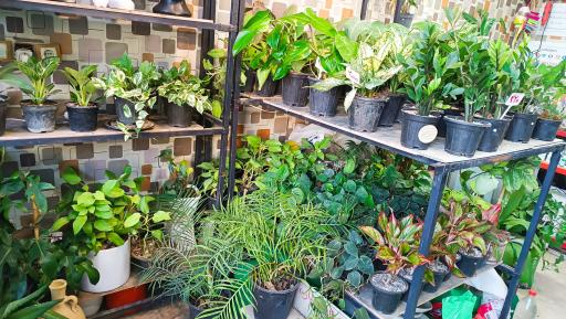 عکس گالری گل پردیس