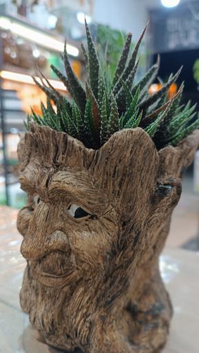 عکس گالری گل پردیس