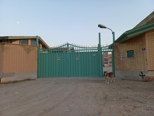 کارتن سازی ایده نگار سهند