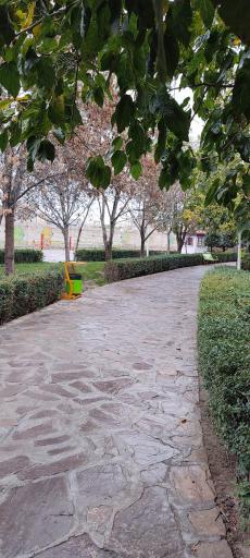عکس بوستان اقاقیا