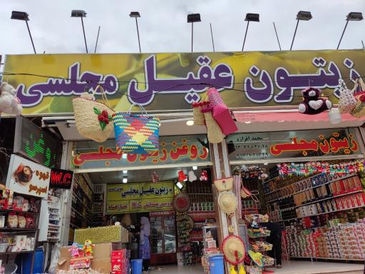 عکس زیتون مجلسی