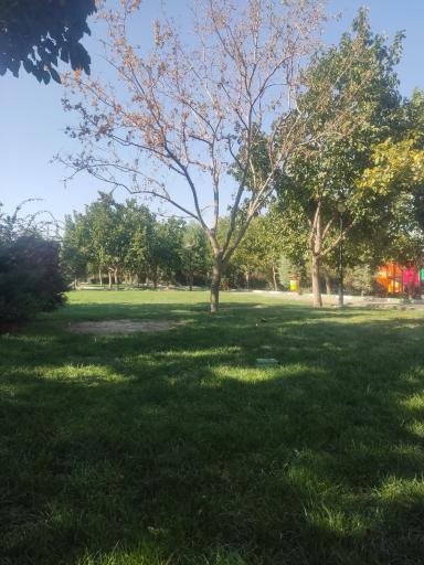 عکس بوستان اقاقیا
