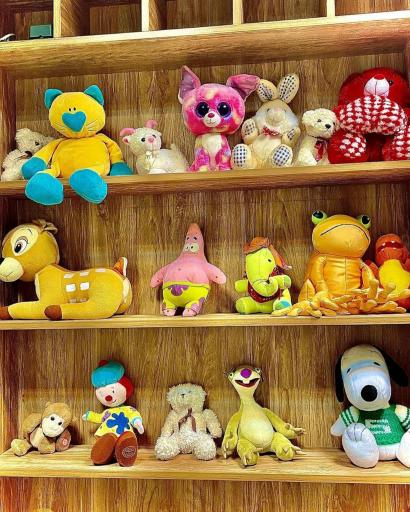 عکس دندان پزشکی هخامنش