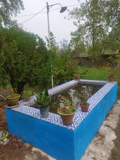 عکس اقامتگاه امی وی جا