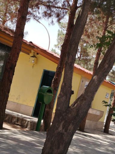 سرویس بهداشتی