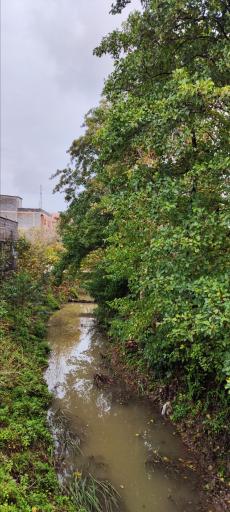 عکس مسجد جامع رویان