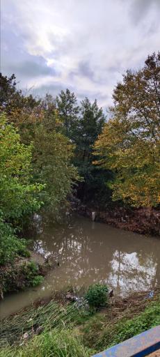 عکس مسجد جامع رویان