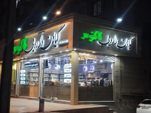 عکس گیاهان دارویی کاکتوس