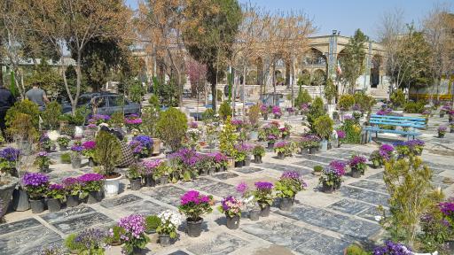 عکس آرامستان حسین رضا