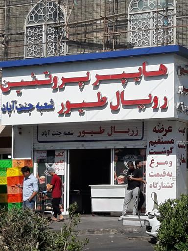 عکس هایپر پروتئین زربال طیور