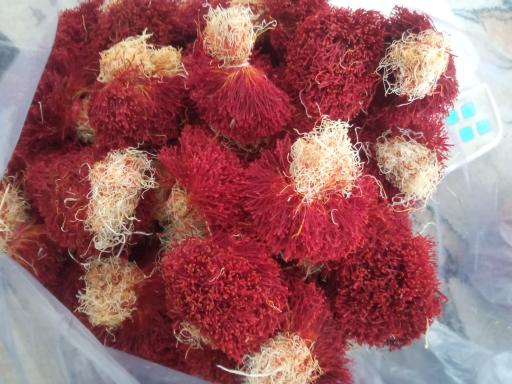 عکس زعفران و سوغات سحرچین کاخک