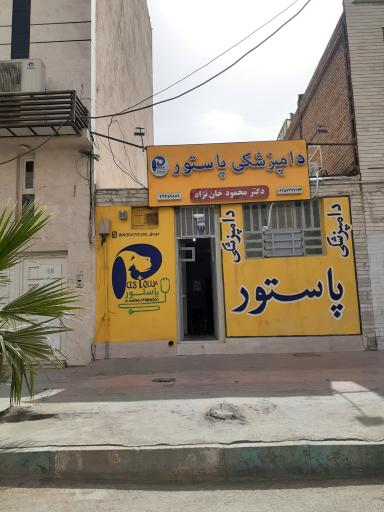 عکس دامپزشکی پاستور 