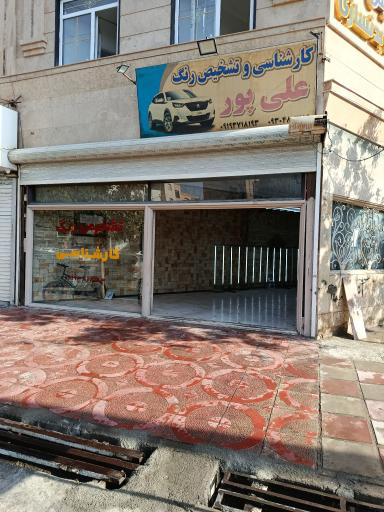 کارشناسی رنگ علیپور