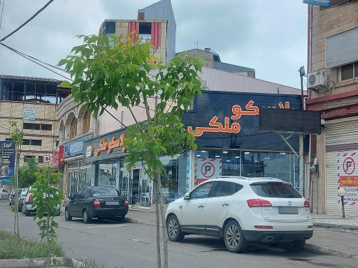 عکس پلاسکو ملکی