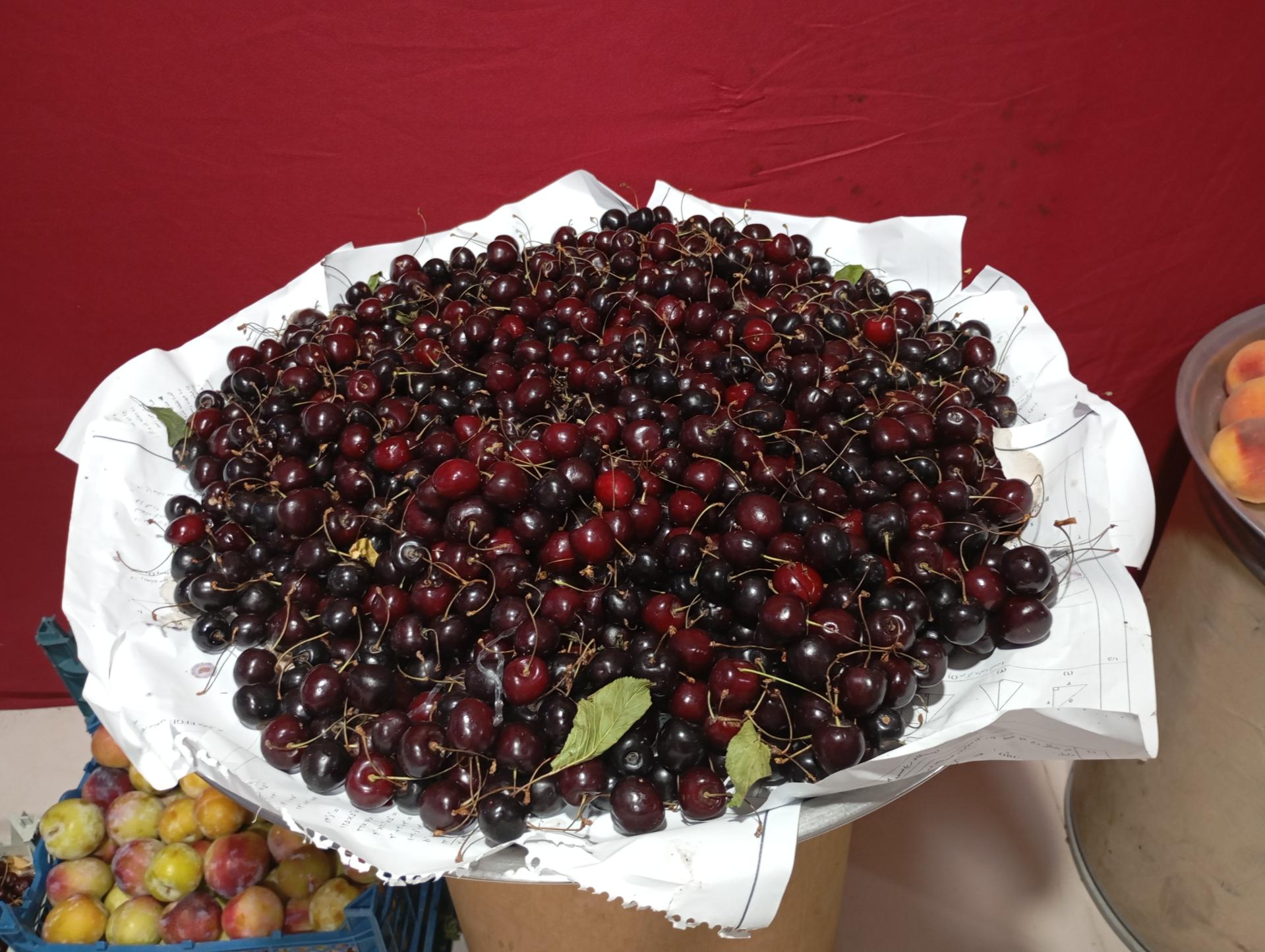 عکس میوه فروشی پاشایی