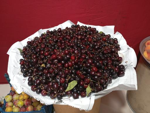 عکس میوه فروشی پاشایی