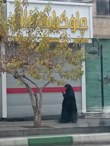 عکس کباب خاتم