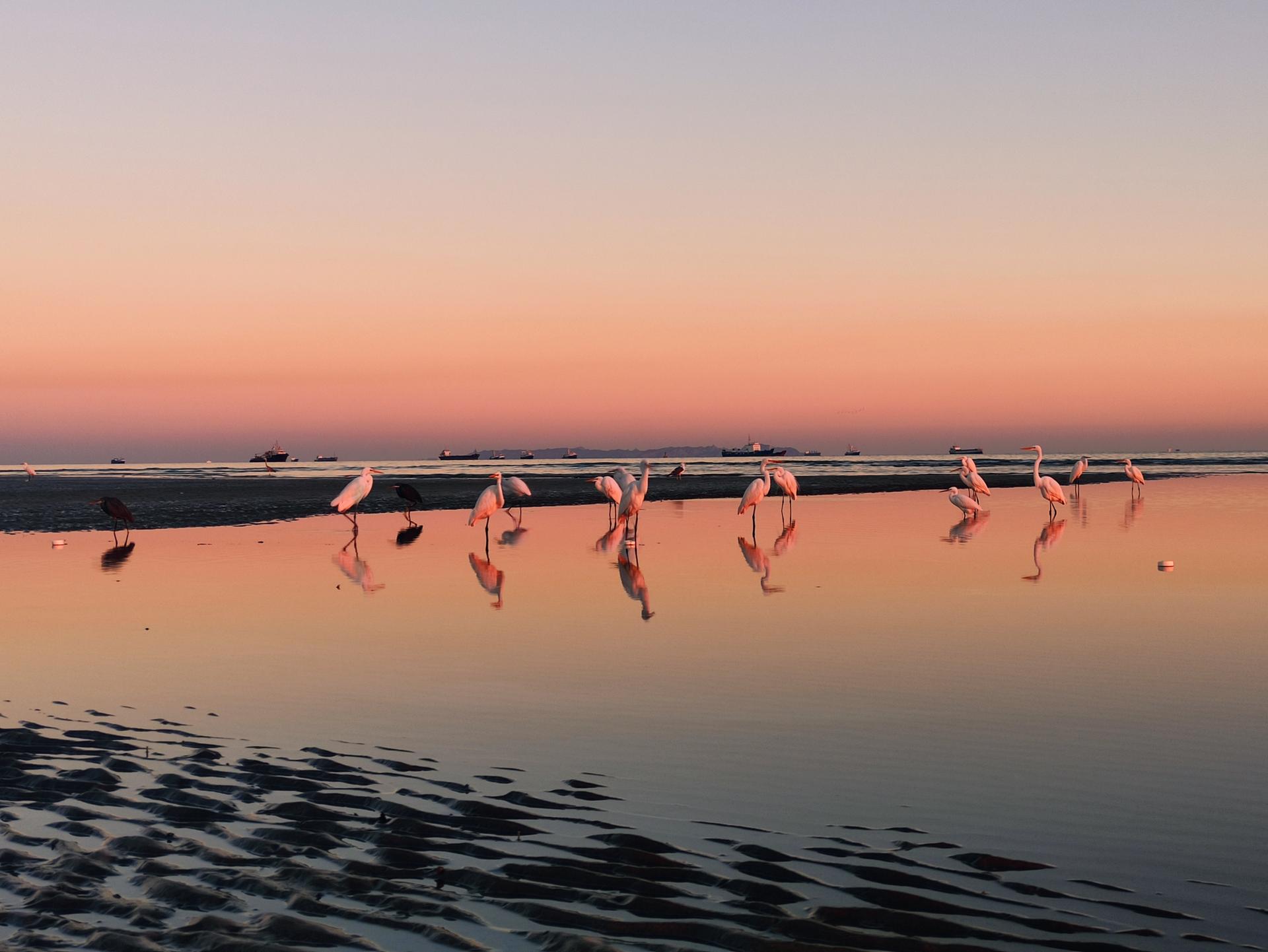 عکس ساحل دریا