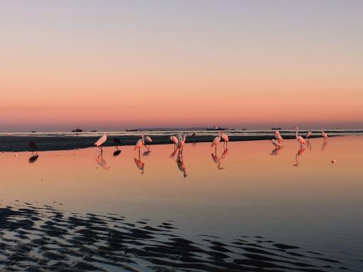 عکس ساحل دریا