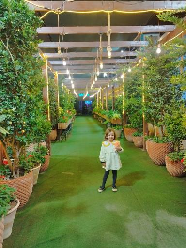 عکس کافه رستوران شایلی لند