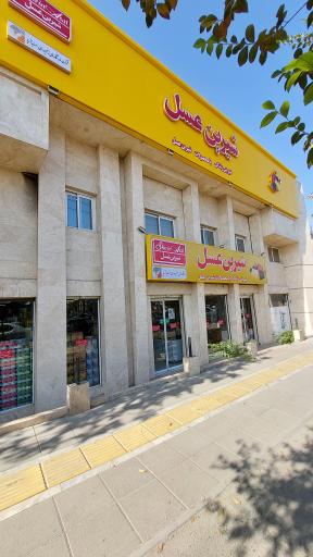 عکس فروشگاه زنجیره‌ای همسایه آریا (شیرین عسل)